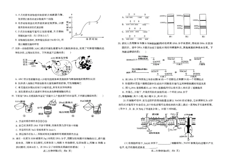 河南省许昌市2023-2024学年高二下学期7月期末教学质量检测生物试题_2024-2025高二（7-7月题库）_2024年07月试卷_0707河南省许昌市2023-2024学年高二下学期7月期末教学质量检测