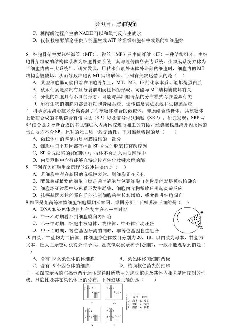 江苏省扬州中学2024-2025学年高三上学期10月月考试题生物Word版含答案_2024-2025高三（6-6月题库）_2024年10月试卷_1017江苏省扬州中学2024-2025学年高三上学期10月月考