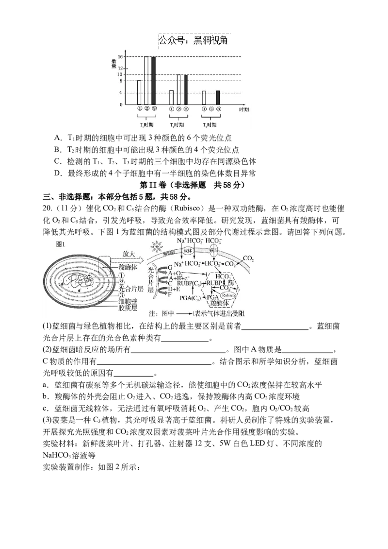 江苏省扬州中学2024-2025学年高三上学期10月月考试题生物Word版含答案_2024-2025高三（6-6月题库）_2024年10月试卷_1017江苏省扬州中学2024-2025学年高三上学期10月月考