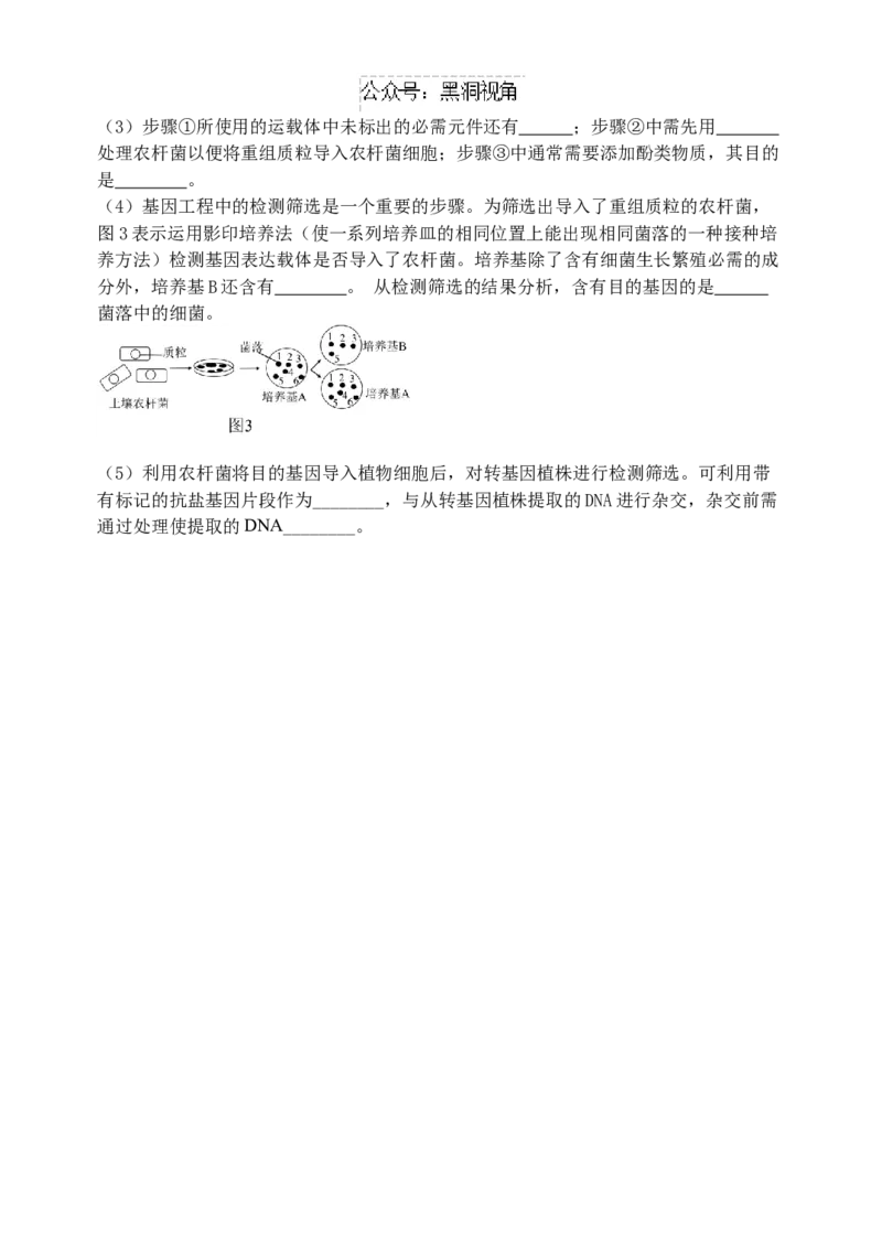 江苏省扬州中学2024-2025学年高三上学期10月月考试题生物Word版含答案_2024-2025高三（6-6月题库）_2024年10月试卷_1017江苏省扬州中学2024-2025学年高三上学期10月月考