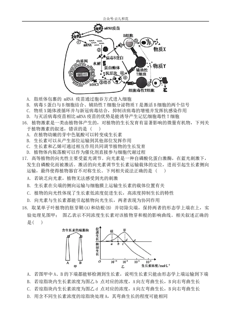 广东省实验中学2024-2025学年高二上学期期中考试生物试题（无答案）_2024-2025高二（7-7月题库）_2024年11月试卷_1129广东省实验中学2024-2025学年高二上学期期中考试