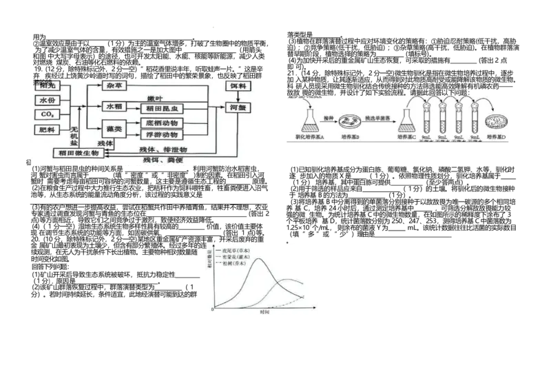 江西省上饶市弋阳县第一中学、横峰中学、铅山县第一中学2024-2025学年高二下学期4月月考生物试卷_2024-2025高二（7-7月题库）_2025年05月试卷