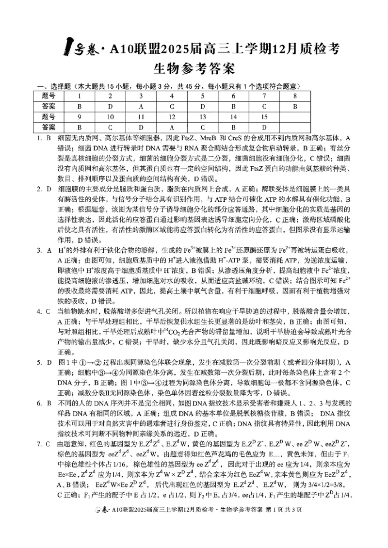 安徽省1号卷A10联盟2025届高三上学期12月质检考生物答案_2024-2025高三（6-6月题库）_2024年12月试卷_1221安徽1号卷A10联盟2025届高三上学期12月质检考