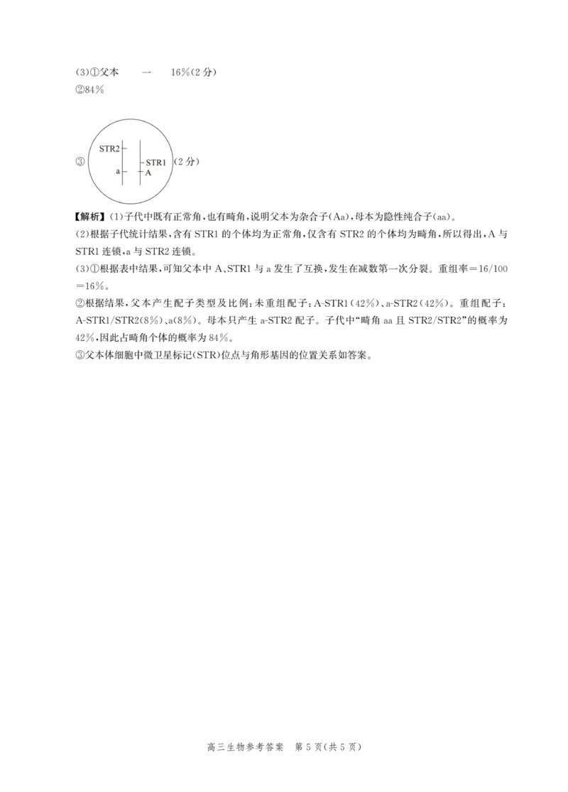 河北省邯郸市2025届高三下学期4月第四次调研监测试题生物+答案_2024-2026高三（6-6月题库）_2025年04月试卷_0429河北省邯郸市2025届高三年级第四次调研监测（全科）
