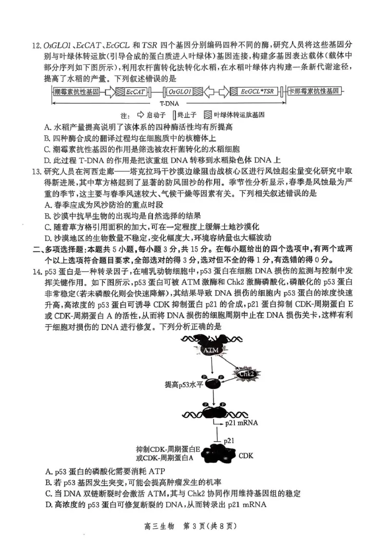 河北省邯郸市2025届高三下学期4月第四次调研监测试题生物+答案_2024-2026高三（6-6月题库）_2025年04月试卷_0429河北省邯郸市2025届高三年级第四次调研监测（全科）