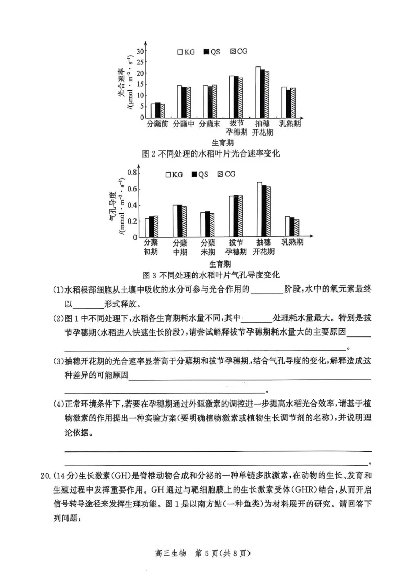 河北省邯郸市2025届高三下学期4月第四次调研监测试题生物+答案_2024-2026高三（6-6月题库）_2025年04月试卷_0429河北省邯郸市2025届高三年级第四次调研监测（全科）
