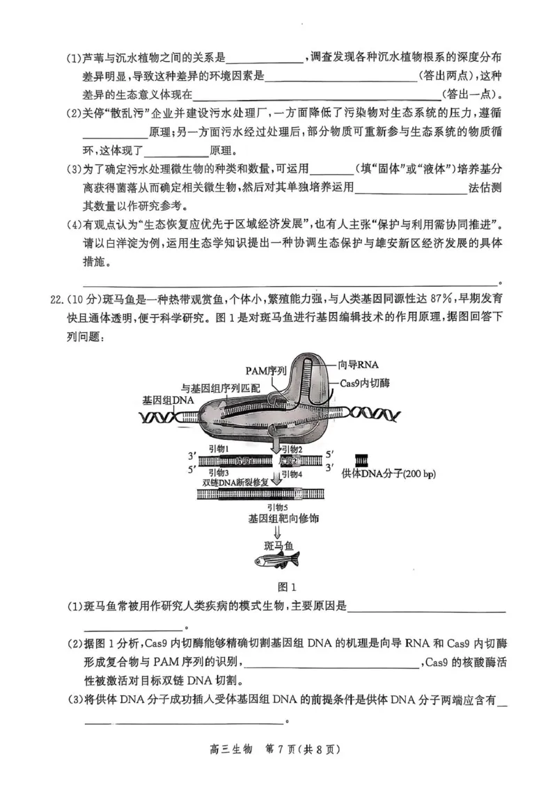 河北省邯郸市2025届高三下学期4月第四次调研监测试题生物+答案_2024-2026高三（6-6月题库）_2025年04月试卷_0429河北省邯郸市2025届高三年级第四次调研监测（全科）