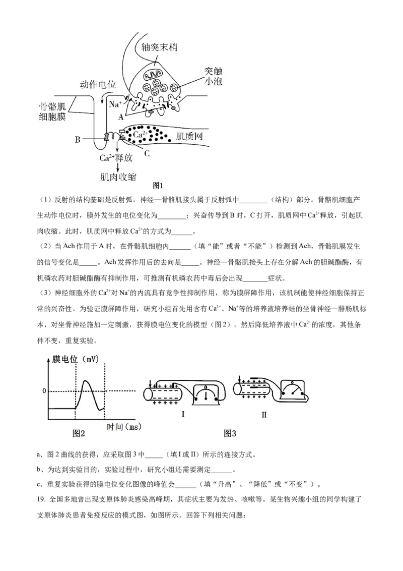 河南省安阳市林州市第一中学2024-2025学年高二上学期11月月试题生物Word版含解析_2024-2025高二（7-7月题库）_2024年11月试卷