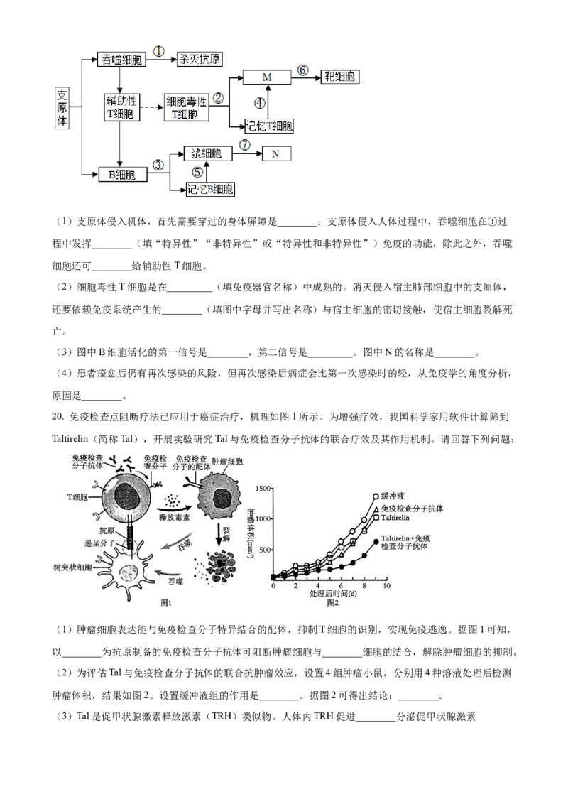 河南省安阳市林州市第一中学2024-2025学年高二上学期11月月试题生物Word版含解析_2024-2025高二（7-7月题库）_2024年11月试卷