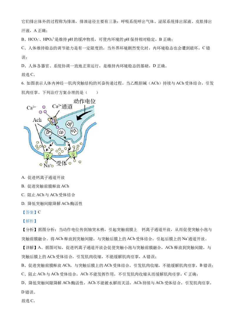 河南省安阳市林州市第一中学2024-2025学年高二上学期11月月试题生物Word版含解析_2024-2025高二（7-7月题库）_2024年11月试卷