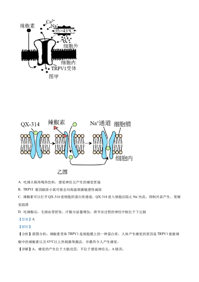 河南省安阳市林州市第一中学2024-2025学年高二上学期11月月试题生物Word版含解析_2024-2025高二（7-7月题库）_2024年11月试卷
