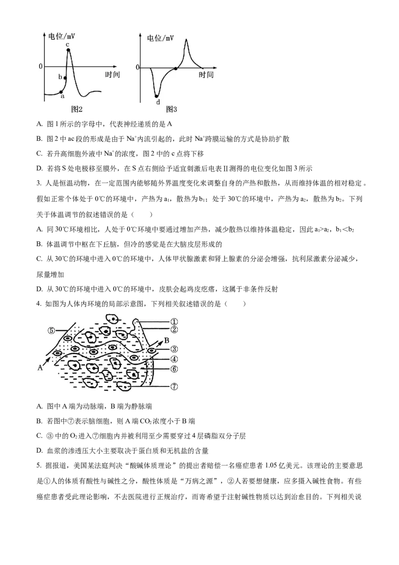 河南省安阳市林州市第一中学2024-2025学年高二上学期11月月试题生物Word版含解析_2024-2025高二（7-7月题库）_2024年11月试卷
