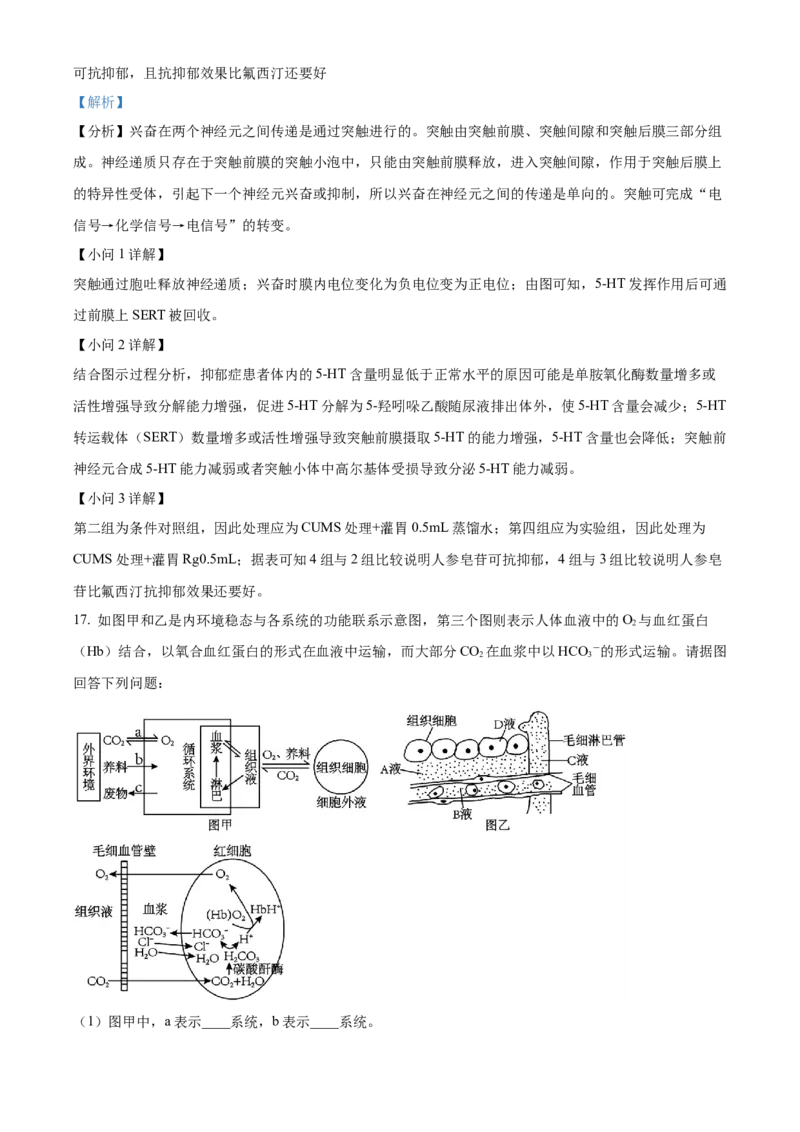 河南省安阳市林州市第一中学2024-2025学年高二上学期11月月试题生物Word版含解析_2024-2025高二（7-7月题库）_2024年11月试卷