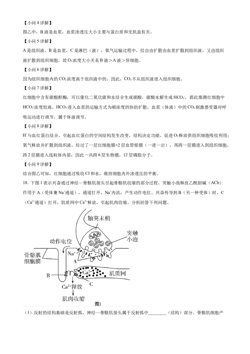 河南省安阳市林州市第一中学2024-2025学年高二上学期11月月试题生物Word版含解析_2024-2025高二（7-7月题库）_2024年11月试卷