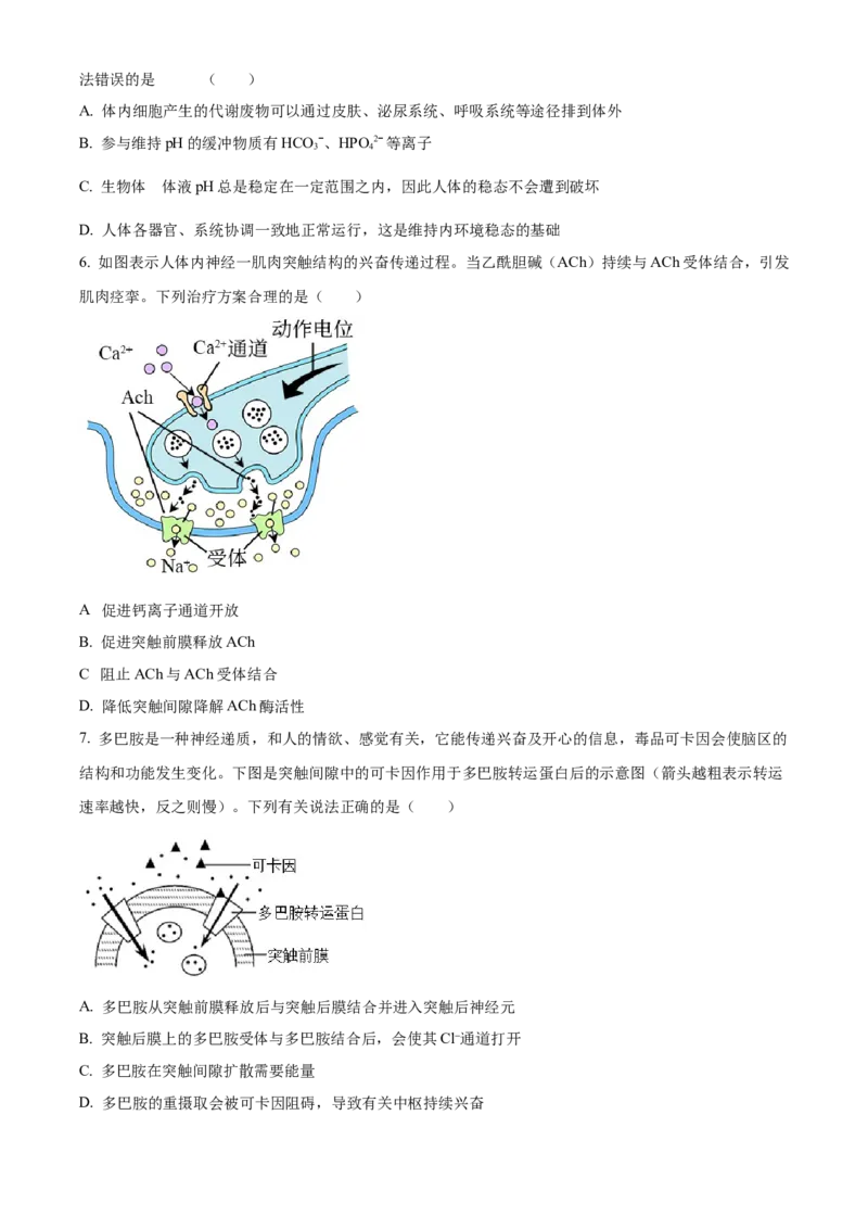 河南省安阳市林州市第一中学2024-2025学年高二上学期11月月试题生物Word版含解析_2024-2025高二（7-7月题库）_2024年11月试卷
