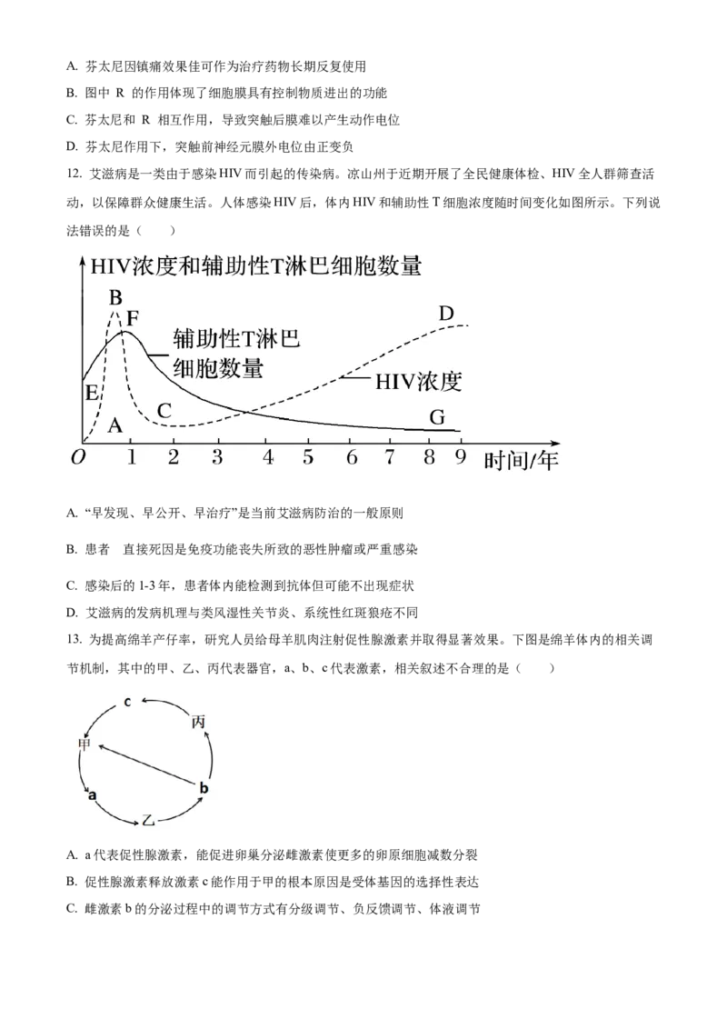 河南省安阳市林州市第一中学2024-2025学年高二上学期11月月试题生物Word版含解析_2024-2025高二（7-7月题库）_2024年11月试卷