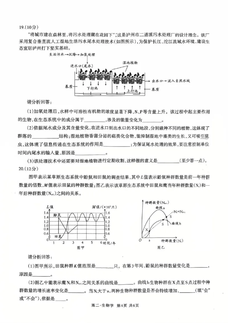 泸州市高2024级高二年级上学期质量监测试题生物_2024-2025高二（7-7月题库）_2026年1月高二_260131四川省泸州市2025-2026学年高二上学期质量监测试题（全）