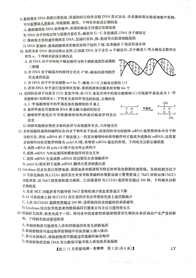 甘肃省高台县第一中学2024届高三上学期11月月考生物学试题(1)_2023年11月_0211月合集_2024届九师联盟高三11月质量检测_九师联盟2024届高三11月质量检测（LY）生物