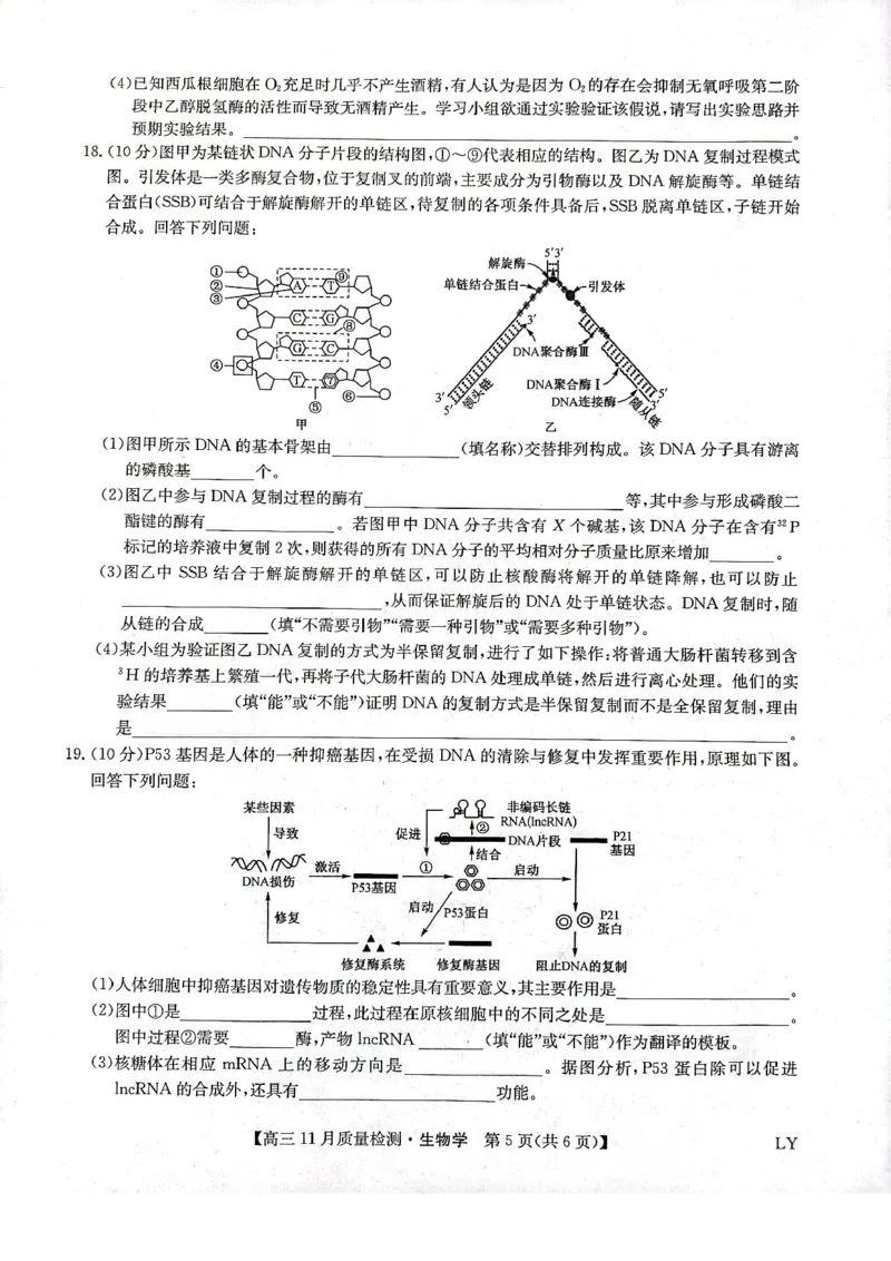 甘肃省高台县第一中学2024届高三上学期11月月考生物学试题(1)_2023年11月_0211月合集_2024届九师联盟高三11月质量检测_九师联盟2024届高三11月质量检测（LY）生物