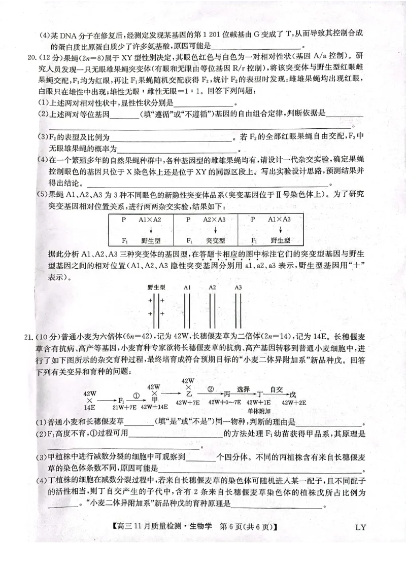 甘肃省高台县第一中学2024届高三上学期11月月考生物学试题(1)_2023年11月_0211月合集_2024届九师联盟高三11月质量检测_九师联盟2024届高三11月质量检测（LY）生物