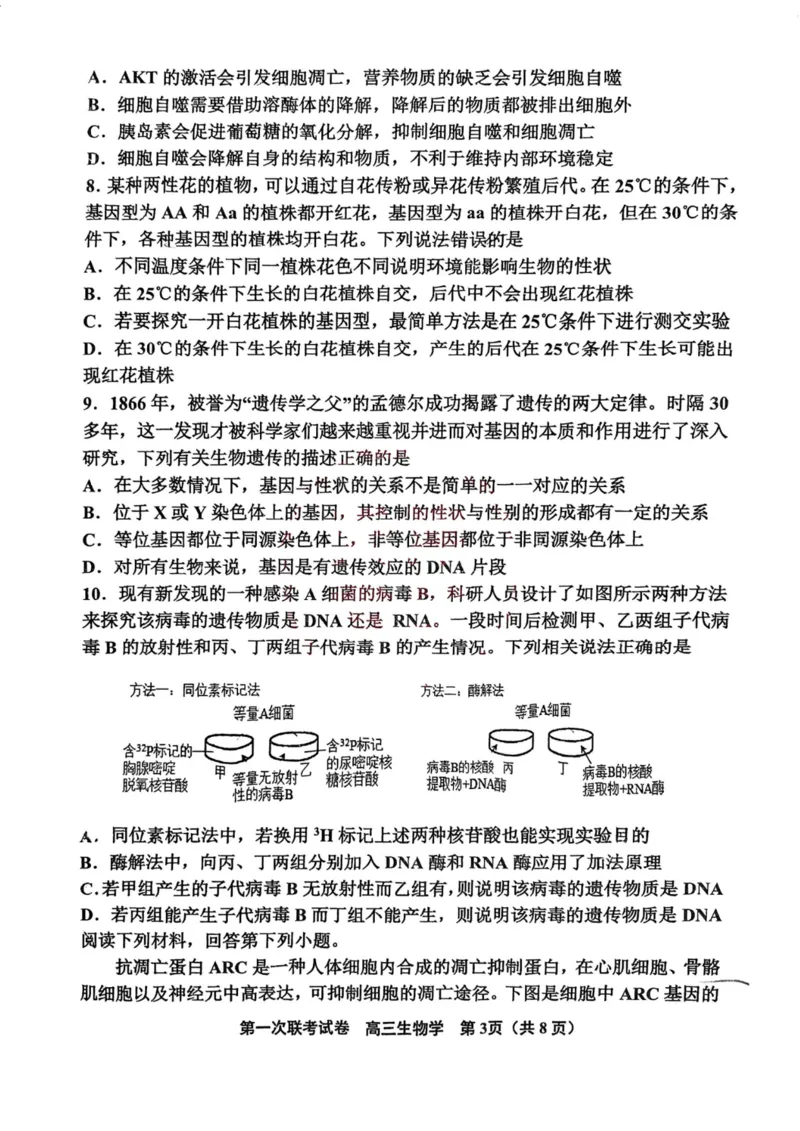 天津市北辰区2024-2025学年高三上学期11月期中生物试题（含答案）_2024-2025高三（6-6月题库）_2024年11月试卷_1125天津市北辰区2024-2025学年高三上学期11月期中考试