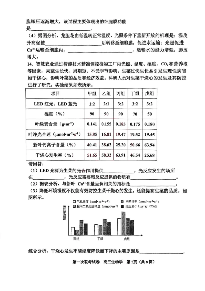 天津市北辰区2024-2025学年高三上学期11月期中生物试题（含答案）_2024-2025高三（6-6月题库）_2024年11月试卷_1125天津市北辰区2024-2025学年高三上学期11月期中考试