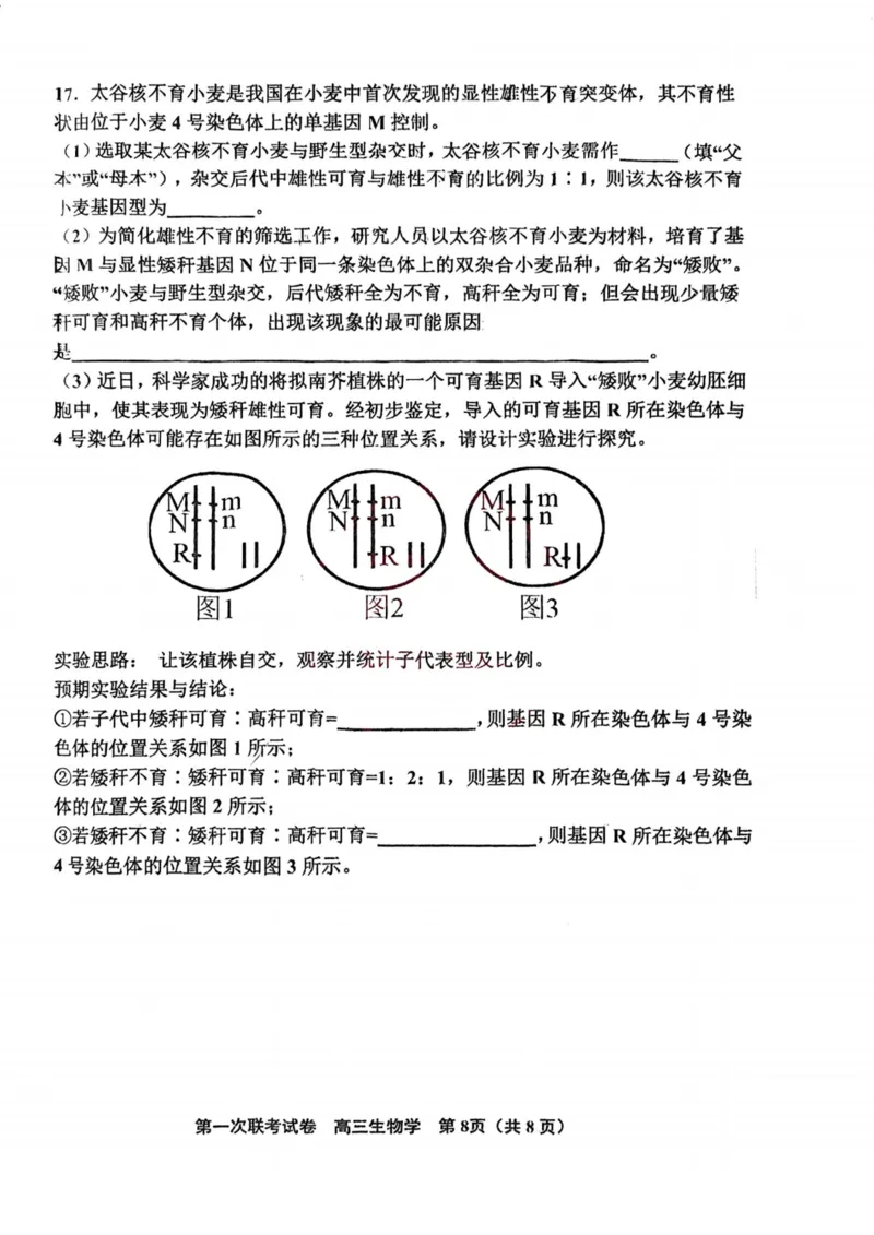 天津市北辰区2024-2025学年高三上学期11月期中生物试题（含答案）_2024-2025高三（6-6月题库）_2024年11月试卷_1125天津市北辰区2024-2025学年高三上学期11月期中考试