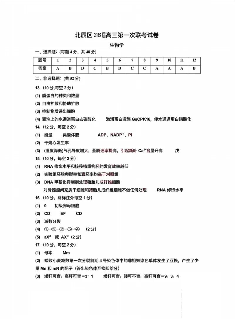 天津市北辰区2024-2025学年高三上学期11月期中生物试题（含答案）_2024-2025高三（6-6月题库）_2024年11月试卷_1125天津市北辰区2024-2025学年高三上学期11月期中考试