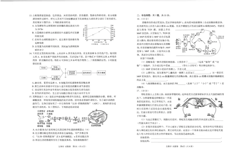 四川省元三维大联考&middot;高2022级第三次诊断性测试生物_2024-2026高三（6-6月题库）_2025年04月试卷_0422四川省绵阳市高中2022级第三次诊断性考试（A卷+元三维大联考B卷）（全科）