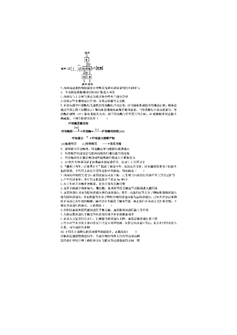 安徽省十联考合肥一中2024年11月高二期中联考生物试题_2024-2025高二（7-7月题库）_2024年11月试卷_1124安徽省十联考合肥一中2024年11月高二期中考试