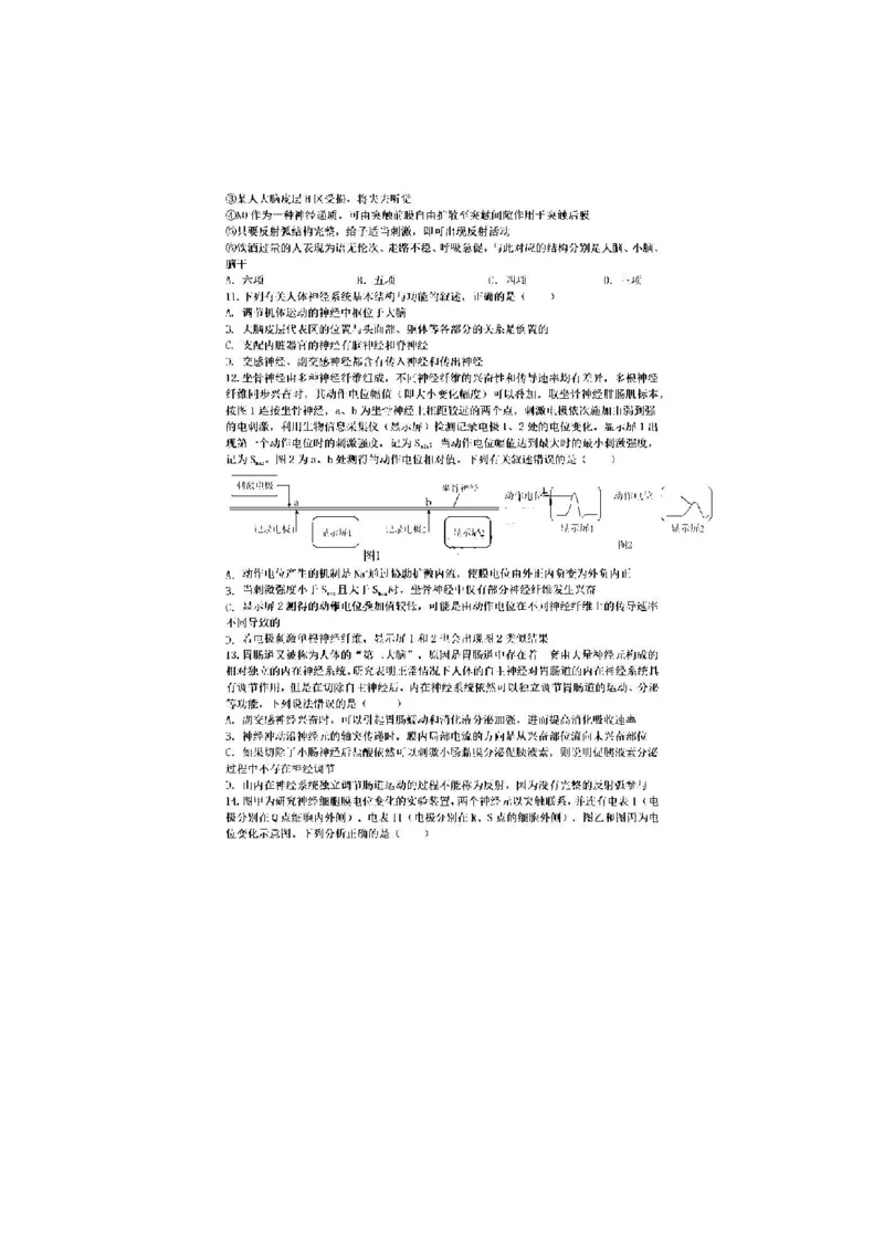 安徽省十联考合肥一中2024年11月高二期中联考生物试题_2024-2025高二（7-7月题库）_2024年11月试卷_1124安徽省十联考合肥一中2024年11月高二期中考试