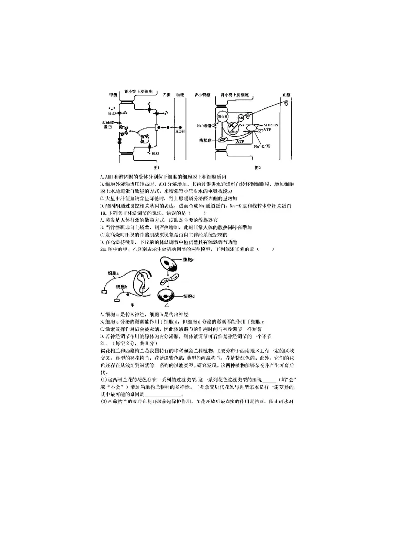 安徽省十联考合肥一中2024年11月高二期中联考生物试题_2024-2025高二（7-7月题库）_2024年11月试卷_1124安徽省十联考合肥一中2024年11月高二期中考试
