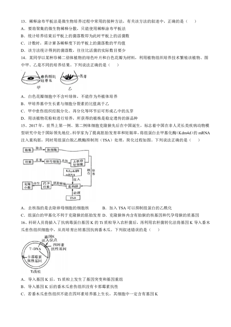 云南省昆明市第一中学2024-2025学年高三上学期第四次联考生物试题(无答案)_2024-2025高三（6-6月题库）_2024年12月试卷_12042025届云南省昆明市第一中学高三年级第四次联考