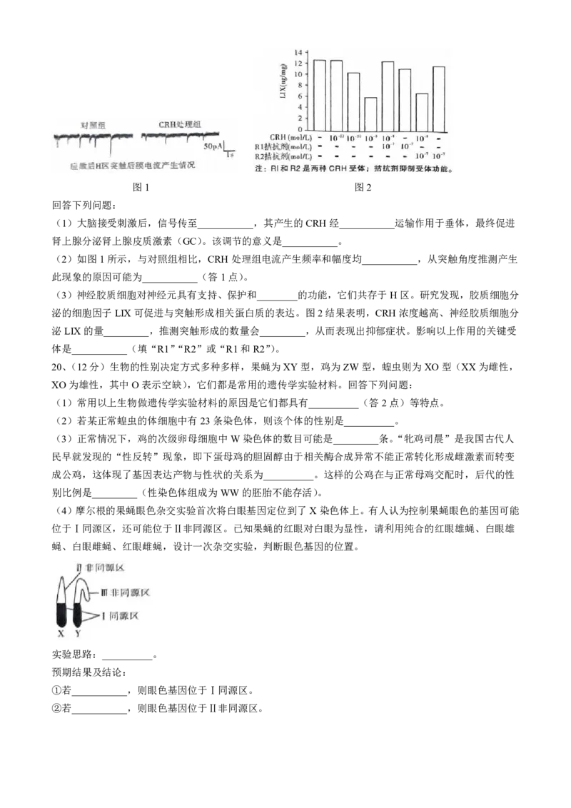 云南省昆明市第一中学2024-2025学年高三上学期第四次联考生物试题(无答案)_2024-2025高三（6-6月题库）_2024年12月试卷_12042025届云南省昆明市第一中学高三年级第四次联考