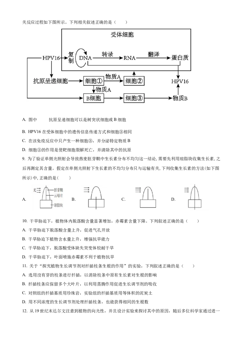 江苏省徐州市2024-2025学年高二上学期期中考试生物试题Word版无答案_2024-2025高二（7-7月题库）_2024年12月试卷_1214江苏省徐州市2024-2025学年高二上学期期中考试