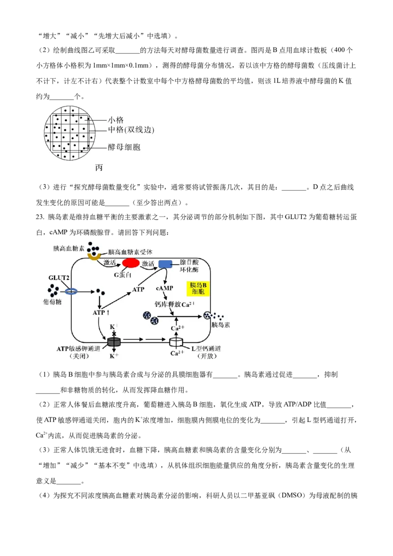 江苏省徐州市2024-2025学年高二上学期期中考试生物试题Word版无答案_2024-2025高二（7-7月题库）_2024年12月试卷_1214江苏省徐州市2024-2025学年高二上学期期中考试