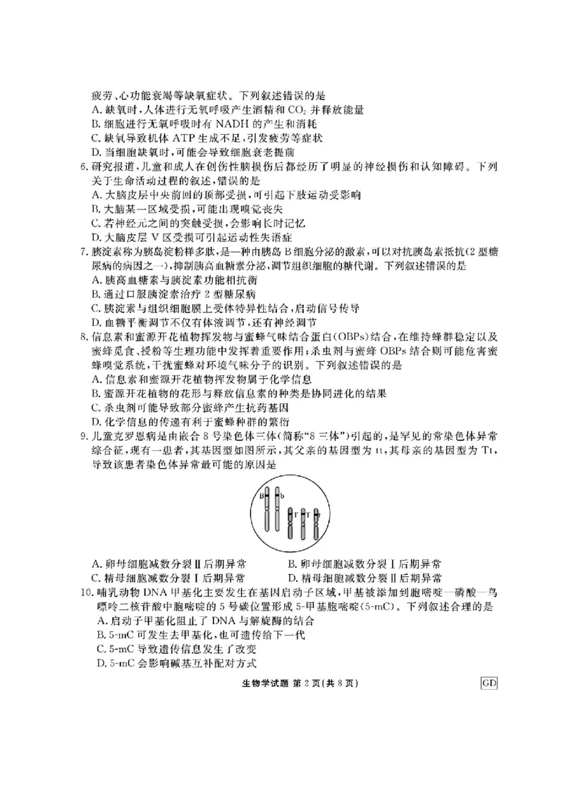 广东省衡水金卷2025届高三上学期12月联考生物+答案_2024-2025高三（6-6月题库）_2024年12月试卷_1219广东省衡水金卷2025届高三上学期12月联考