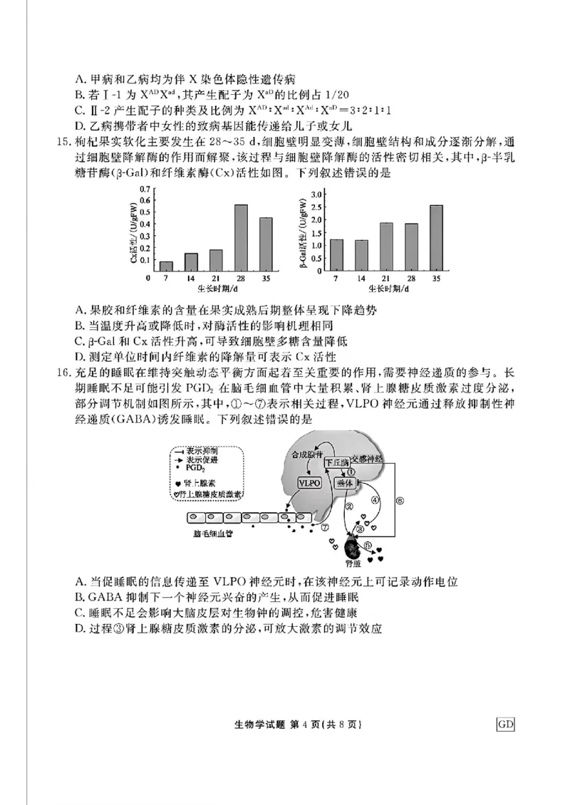 广东省衡水金卷2025届高三上学期12月联考生物+答案_2024-2025高三（6-6月题库）_2024年12月试卷_1219广东省衡水金卷2025届高三上学期12月联考