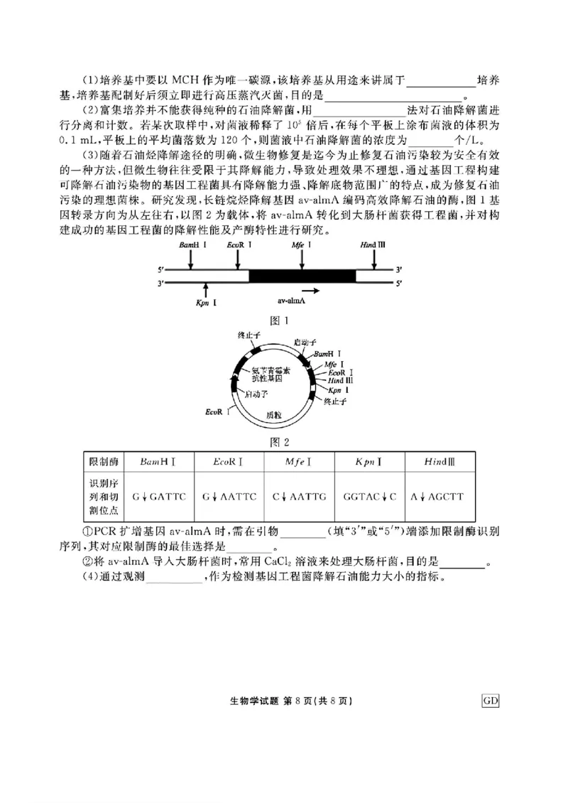 广东省衡水金卷2025届高三上学期12月联考生物+答案_2024-2025高三（6-6月题库）_2024年12月试卷_1219广东省衡水金卷2025届高三上学期12月联考