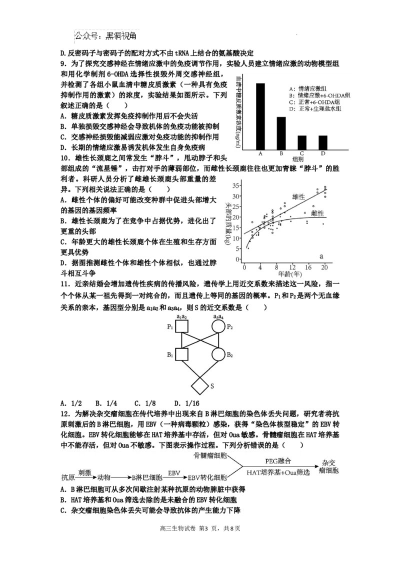 广东省深圳市福田区红岭中学2024-2025学年高三上学期第二次统一考试生物_2024-2025高三（6-6月题库）_2024年10月试卷