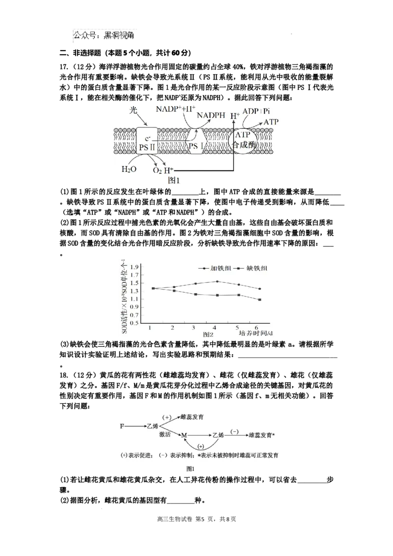 广东省深圳市福田区红岭中学2024-2025学年高三上学期第二次统一考试生物_2024-2025高三（6-6月题库）_2024年10月试卷