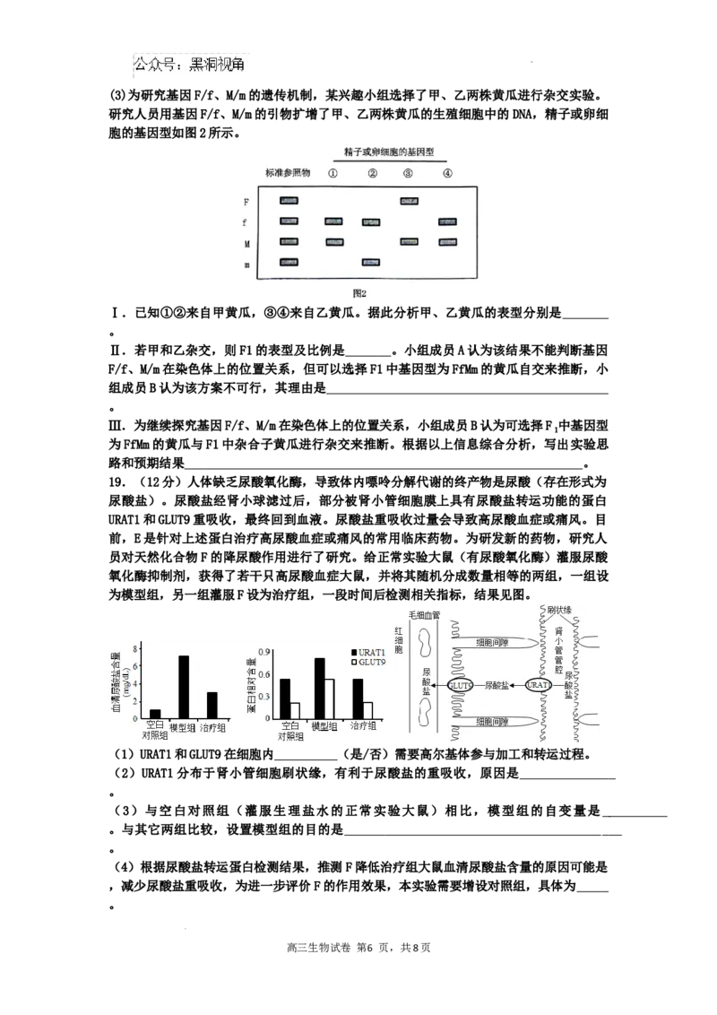 广东省深圳市福田区红岭中学2024-2025学年高三上学期第二次统一考试生物_2024-2025高三（6-6月题库）_2024年10月试卷