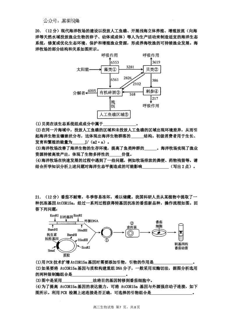 广东省深圳市福田区红岭中学2024-2025学年高三上学期第二次统一考试生物_2024-2025高三（6-6月题库）_2024年10月试卷
