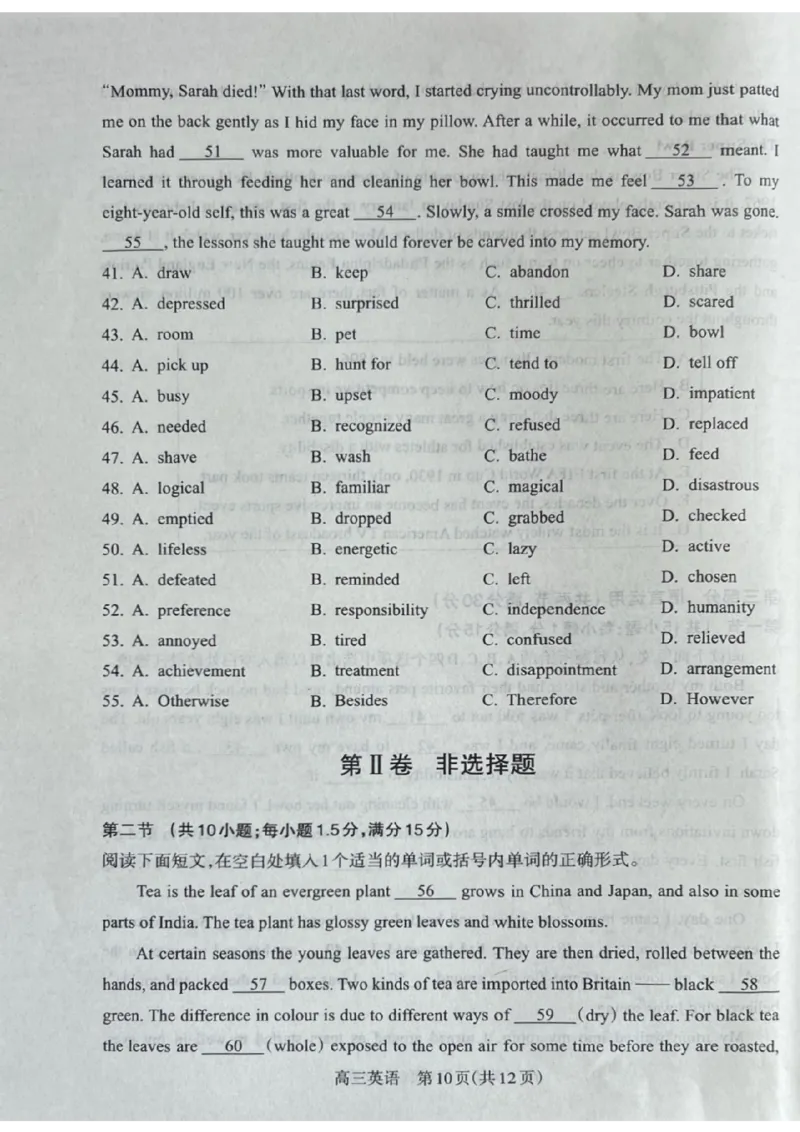 山西省吕梁市2024-2025学年高三上学期11月期中英语试题_2024-2025高三（6-6月题库）_2024年11月试卷_1105山西省吕梁市2024-2025学年高三上学期11月期中
