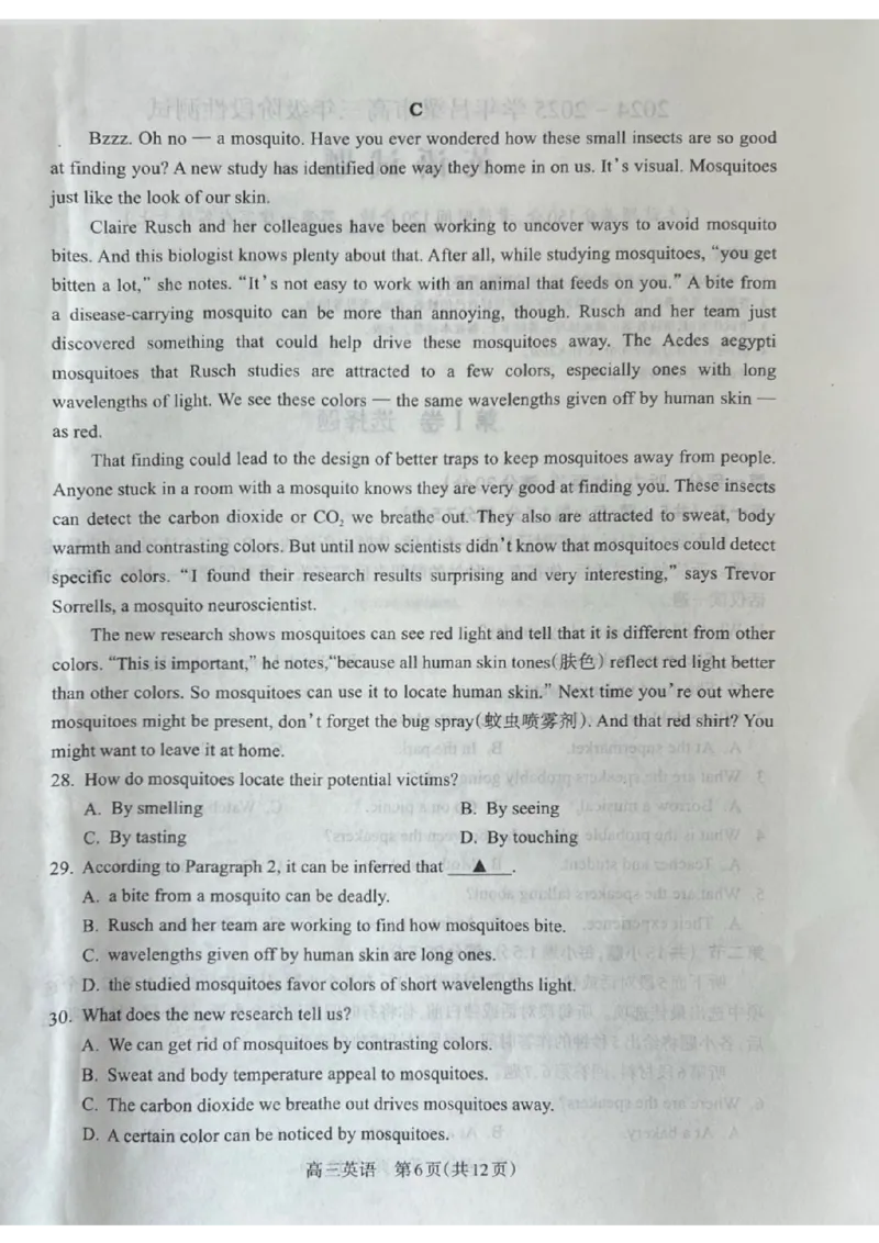 山西省吕梁市2024-2025学年高三上学期11月期中英语试题_2024-2025高三（6-6月题库）_2024年11月试卷_1105山西省吕梁市2024-2025学年高三上学期11月期中