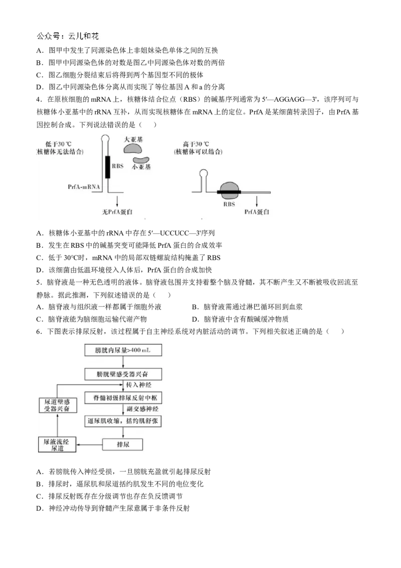湖南省长沙市师大附中2024-2025学年高二上学期11月期中考试生物试卷Word版含解析_2024-2025高二（7-7月题库）_2024年11月试卷_1113湖南省长沙市师大附中2024-2025学年高二上学期11月期中考试