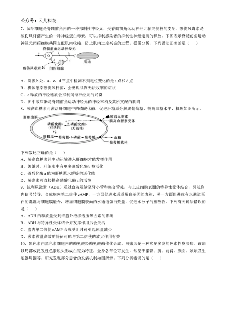 湖南省长沙市师大附中2024-2025学年高二上学期11月期中考试生物试卷Word版含解析_2024-2025高二（7-7月题库）_2024年11月试卷_1113湖南省长沙市师大附中2024-2025学年高二上学期11月期中考试