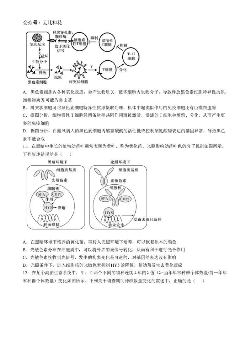 湖南省长沙市师大附中2024-2025学年高二上学期11月期中考试生物试卷Word版含解析_2024-2025高二（7-7月题库）_2024年11月试卷_1113湖南省长沙市师大附中2024-2025学年高二上学期11月期中考试