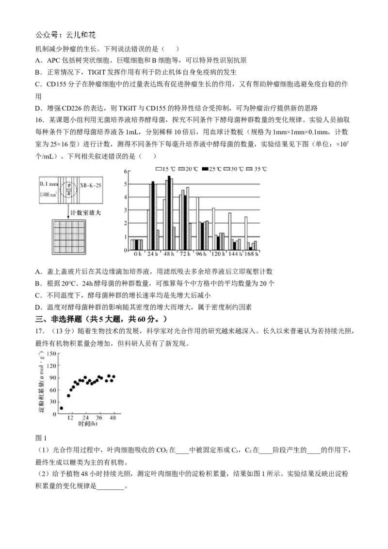 湖南省长沙市师大附中2024-2025学年高二上学期11月期中考试生物试卷Word版含解析_2024-2025高二（7-7月题库）_2024年11月试卷_1113湖南省长沙市师大附中2024-2025学年高二上学期11月期中考试