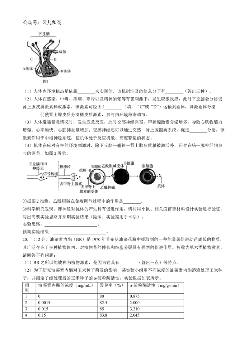 湖南省长沙市师大附中2024-2025学年高二上学期11月期中考试生物试卷Word版含解析_2024-2025高二（7-7月题库）_2024年11月试卷_1113湖南省长沙市师大附中2024-2025学年高二上学期11月期中考试